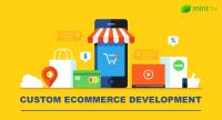 eCommerce Development image 1